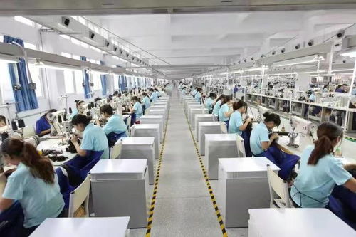 9個(gè)月營收10.5億,假發(fā)巨頭瑞貝卡持續(xù)發(fā)力線上